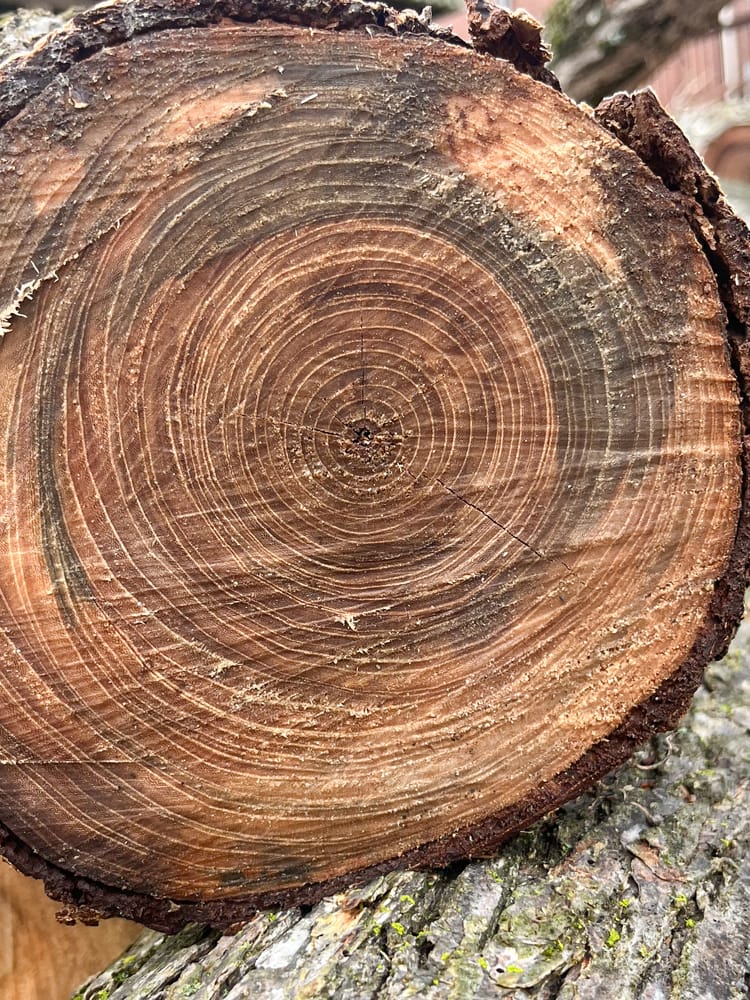 Give, and Give Freely.