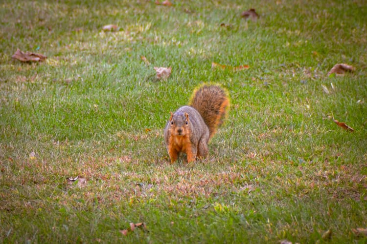 Life is Something Shared