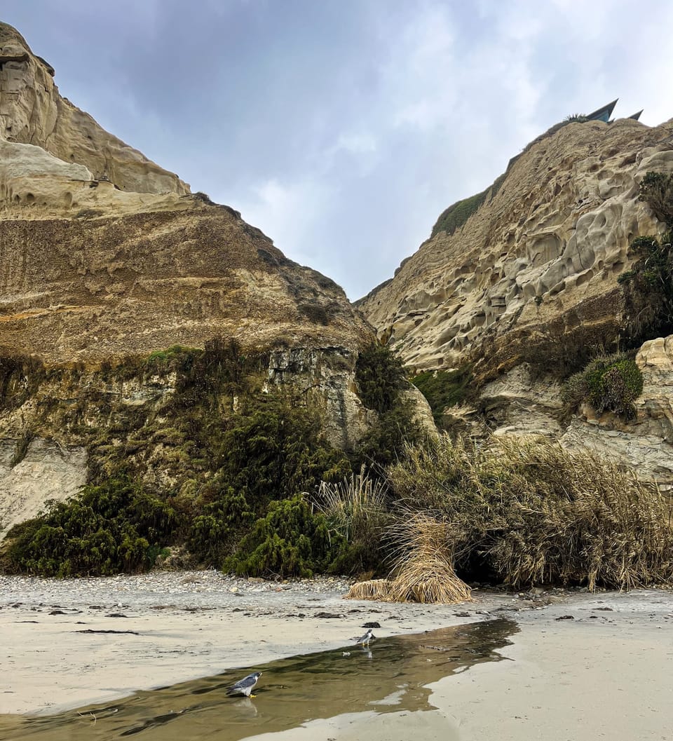 In the Pursuit of Life